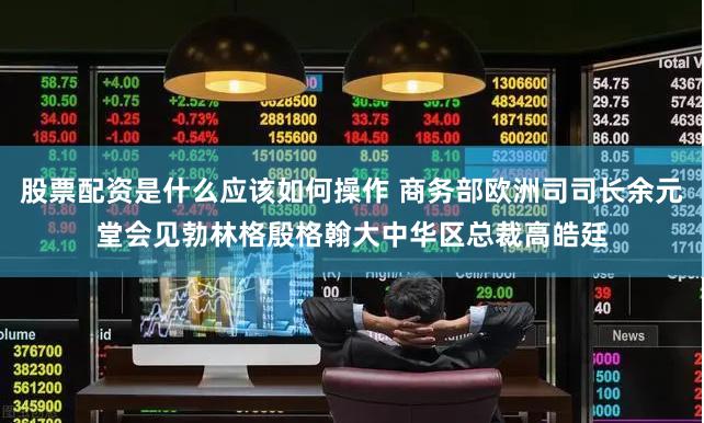 股票配资是什么应该如何操作 商务部欧洲司司长余元堂会见勃林格殷格翰大中华区总裁高皓廷