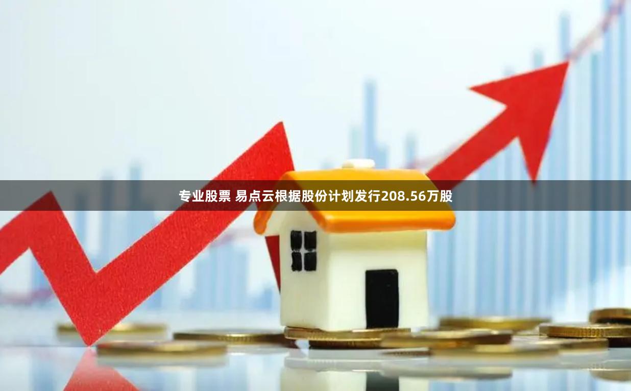 专业股票 易点云根据股份计划发行208.56万股