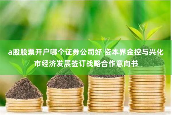 a股股票开户哪个证券公司好 资本界金控与兴化市经济发展签订战略合作意向书