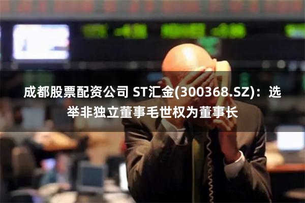 成都股票配资公司 ST汇金(300368.SZ)：选举非独立董事毛世权为董事长