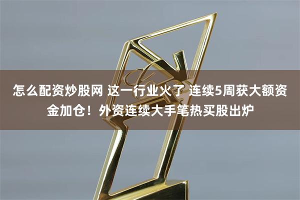 怎么配资炒股网 这一行业火了 连续5周获大额资金加仓！外资连续大手笔热买股出炉