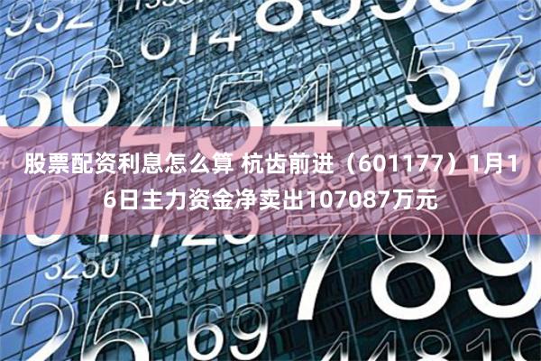 股票配资利息怎么算 杭齿前进（601177）1月16日主力资金净卖出107087万元